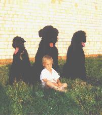 Nick & his offspring & Misha