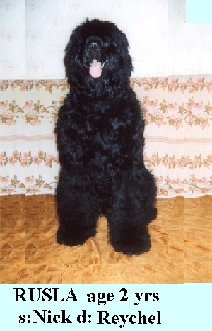 Rusla