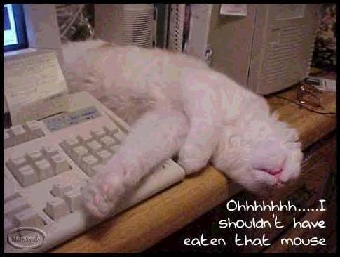How funny!!!