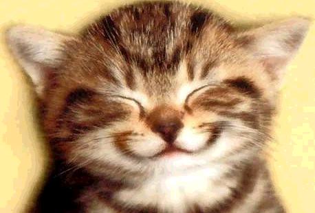 Isn't this cute?!?