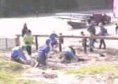 Group Day Planting5