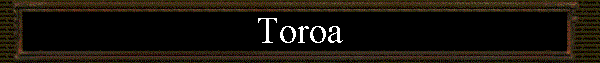  Toroa 