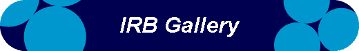  IRB Gallery 