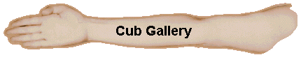  Cub Gallery 