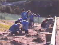 Group Day Planting1