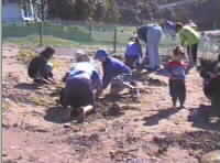 Group Day Planting2