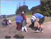 Group Day Planting3