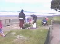 Group Day Planting6