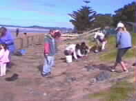 Group Day Planting7
