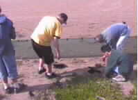 Group Day Planting8