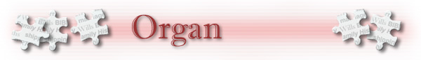  Organ 