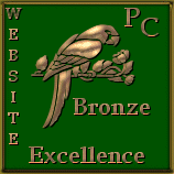 Website Excellence Bronze Award
