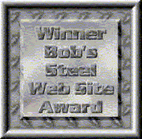 Steel Web Site Award