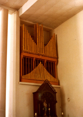 &Oacute;rg&atilde;o