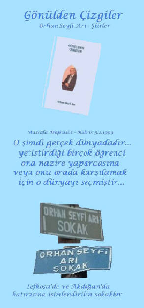 Öğretmen Orhan Seyfi Arı - Şiirleri : Günülden Çizgiler -kitap
