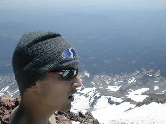 see the tree line