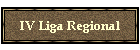 V Liga Regional
