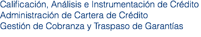 Calificación, Análisis e Instrumentación de Crédito
Administración de Cartera de Crédito
Gestión de Cobranza y Traspaso de Garantías 