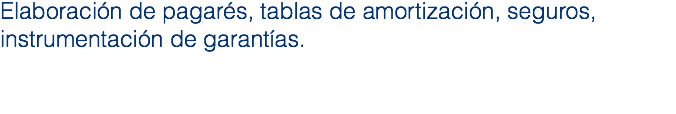 Elaboración de pagarés, tablas de amortización, seguros, instrumentación de garantías.
