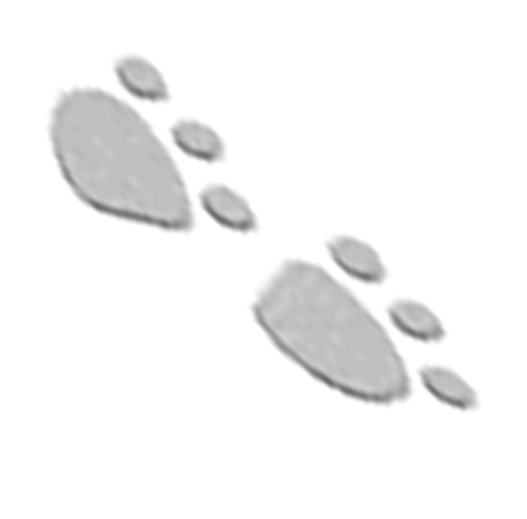 Text Box: There are many opportunities out there for  Natives to benefit from� If not now, in the future.