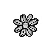 a blooming flower