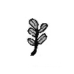 a sprig