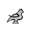 the dove (of peace)