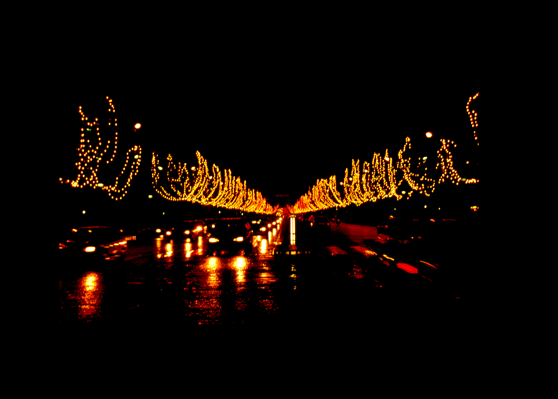 img4.gif