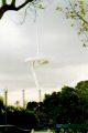 mast1.jpg