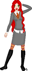  A hogwarts outfit.