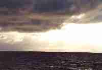 waddensee4_tn.jpg (2115 bytes)