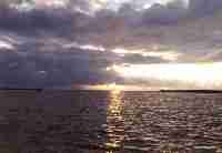 waddensee8_tn.jpg (2659 bytes)