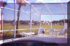 Screened in swimming pool