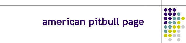 american pitbull page