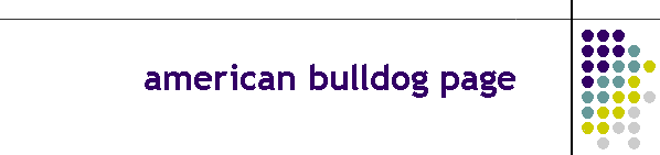 american bulldog page