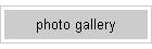 photo gallery
