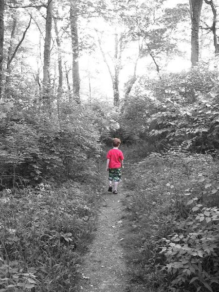A Walk