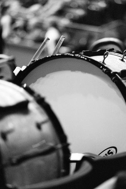 Basses