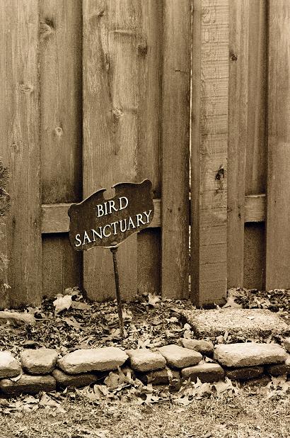 BirdSanctuary