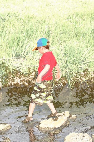 Connor Walks