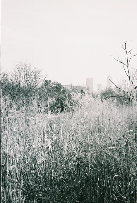 Distant Skyline