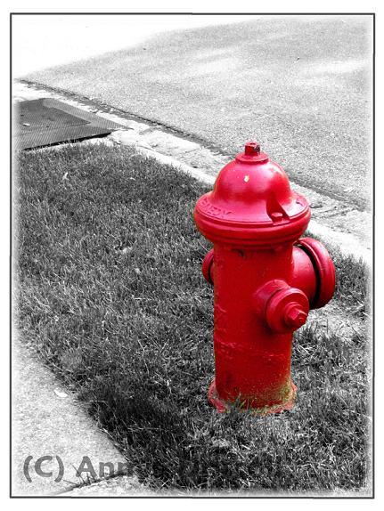 Fire Hydrant