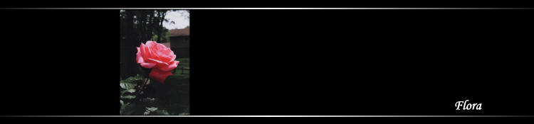 Flora - banner