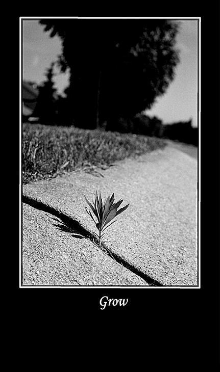Grow