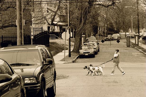 Her Dogs