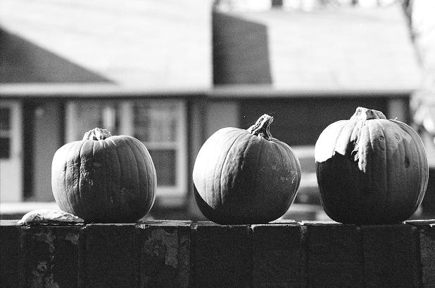 Pumpkins