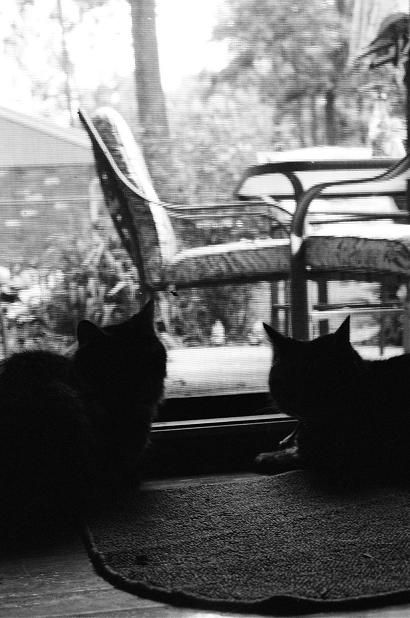 Silhouettes
