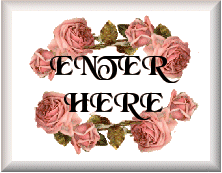 enter