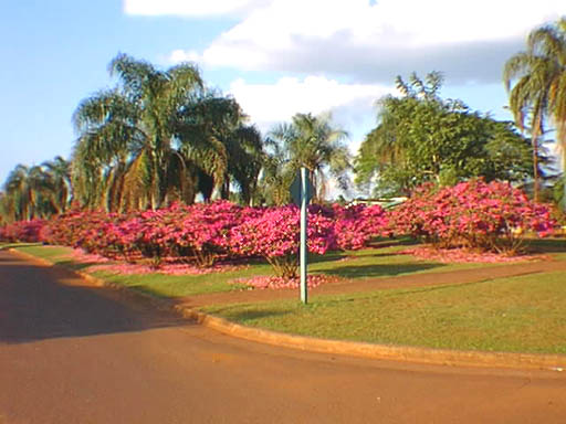 Plazoleta del Monumento al Doctor Allasia (47kb)