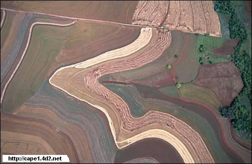 Coloridos campos de cultivos